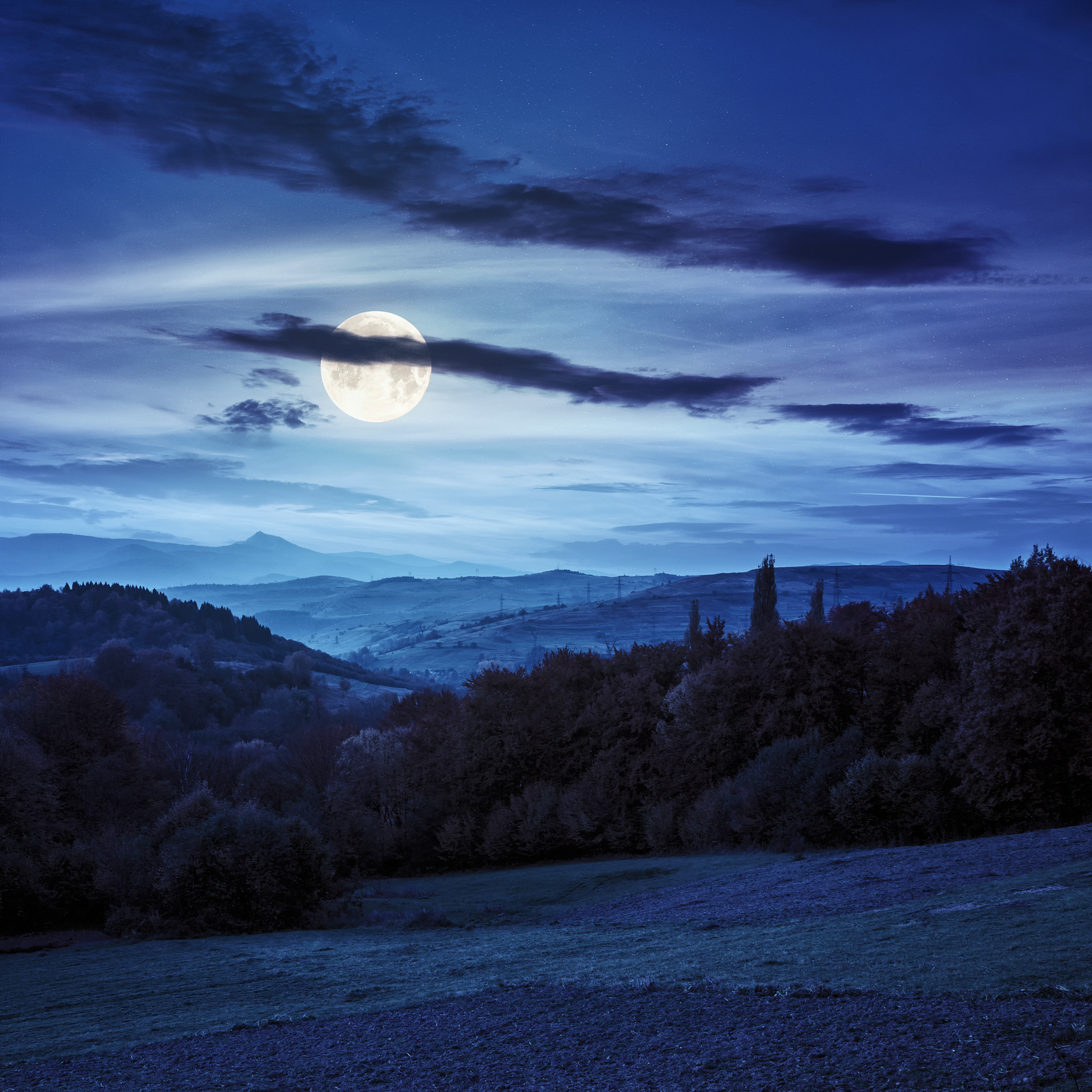 Image of village and wonderful bushes